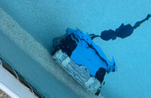 Este aspirador robô Dolphin manteve minha piscina impecável por 2 anos sem problemas