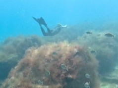 Reefline: Trazendo arte para o litoral de Miami