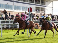 Hoje na Sky Sports activities Racing: Windsor hospeda card de sete corridas na segunda-feira
