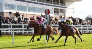 Hoje na Sky Sports activities Racing: Windsor hospeda card de sete corridas na segunda-feira