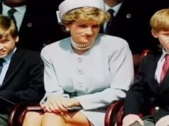 ‘Eles precisam da família’: quando a princesa Diana fez um sacrifício silencioso por William e Harry que mostrou à mãe que ela realmente period