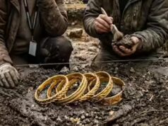 Este tesouro viking de 1.000 anos encontrado na Dinamarca contém argolas de ouro quase puro