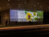 ‘O futuro da arte’: uma primeira olhada na videoinstalação que iluminará a ponte Wilshire do LACMA