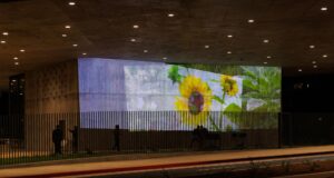 ‘O futuro da arte’: uma primeira olhada na videoinstalação que iluminará a ponte Wilshire do LACMA