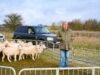 A 6ª temporada de Clarkson’s Farm já está em andamento? Jeremy Clarkson flagrado filmando no Diddly Squat em meio à revelação do câncer