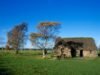 Fãs de Outlander arrecadam quantias impressionantes para o histórico campo de batalha de Culloden, na Escócia