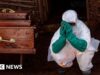 Três vacinas contra o Ebola em desenvolvimento em meio a crescentes temores de surto