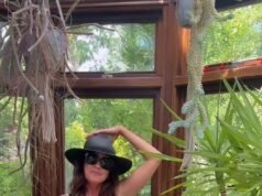 Lisa Snowdon, 54, exibe sua figura incrível em uma variedade de trajes de banho para sua nova campanha depois de revelar que a menopausa a fez ganhar o 3º lugar