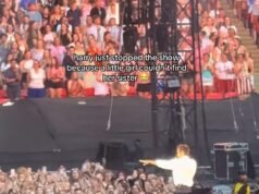 Harry Types interrompe seu present em Wembley no meio da música para cuidar de um público angustiado enquanto os fãs o elogiam por “ser tão carinhoso”