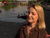 Os telespectadores do café da manhã da BBC identificam um cachorro causando caos no fundo da entrevista