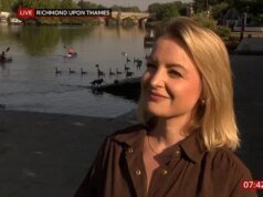 Os telespectadores do café da manhã da BBC identificam um cachorro causando caos no fundo da entrevista
