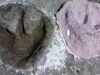 Rodovia dos dinossauros jurássicos de 166 milhões de anos descoberta sob uma pedreira britânica