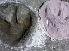 Rodovia dos dinossauros jurássicos de 166 milhões de anos descoberta sob uma pedreira britânica