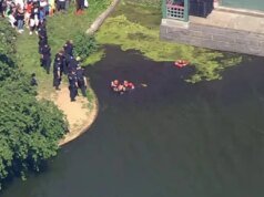 Nadador desonesto é preso após mergulhar no lago de 11 acres do Central Park em tentativa fracassada de escapar da polícia de Nova York