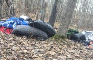 Riscos de conflito e doenças aumentam quando acampamentos de sem-teto invadem o habitat urbano dos coiotes, alerta estudo