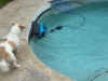 Eu testo limpadores robóticos de piscinas para o trabalho. O que eu uso na minha própria piscina está à venda no primeiro dia