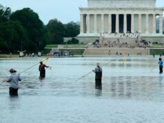 CNN e MS NOW fazem horas de cobertura sobre o drama do Reflecting Pool