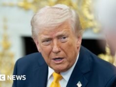 Crescente reação no Japão sobre o uso de personagens de anime por Trump