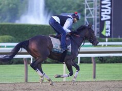 Golden Tempo conquista 158º Belmont Stakes, vencendo a primeira e terceira etapas da Triple Crown