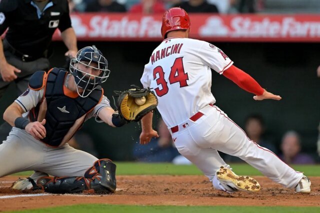 29155500.jpg