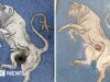 Italianos ficam surpresos com a restauração do mosaico de touros de Milão