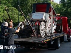 Adolescente morre em acidente de carruagem em Nova York
