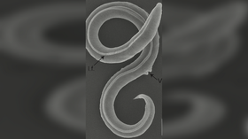 64c5440a85f5403f5a70d944.png