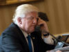 Trump confirma que chamou Netanyahu de ‘maluco’