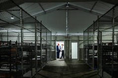 As portas da América ‘fechadas’ para requerentes de asilo – Casa Branca (VÍDEO)