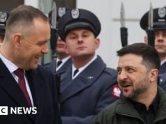 Zelensky sob pressão para acabar com a disputa com a Polônia sobre o nome da unidade do exército na 2ª Guerra Mundial