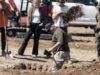 117 cães mortos encontrados em resgate de animais ‘sem matar’ na Califórnia – muitos com ferimentos de bala