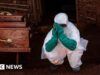 Como os profissionais de saúde na RD Congo estão a tratar o Ébola e a manter-se seguros