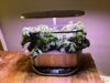 O Aerogarden que recomendo a todos custa apenas US $ 83 no momento, um desconto de 63%