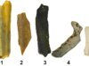 Os humanos já usavam o fogo muito antes dos cientistas pensarem que period possível, afirma o estudo