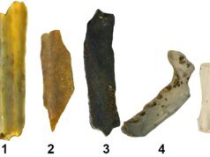 Os humanos já usavam o fogo muito antes dos cientistas pensarem que period possível, afirma o estudo