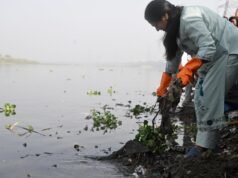 Delhi CM lidera campanha de limpeza da margem do rio Yamuna