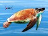 Ministério de Segurança do Estado da China acusa ‘tartarugas espiãs e peixes espiões’ de roubar dados marinhos confidenciais