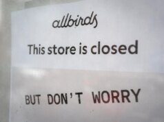 AIbirds estava sentado ali: Allbirds muda o nome para Smartbird no AI Pivot