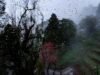 Dia Mundial da Música de 2026: playlist de chuva, memórias e momentos de monção de Calcutá