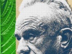 A Guerra Civil Kratom está esquentando e MAHA escolheu um lado