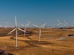 Trump acaba de perder sua guerra contra a energia eólica