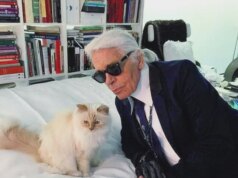A vida do gato de Karl Lagerfeld quebrou depois de receber ‘absolutamente nada’ de £ 1.500.000