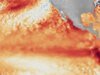 É um ano de Tremendous El Niño? Isso poderia virar o clima do mundo de cabeça para baixo