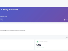 O DeleteMe realmente tira suas informações da Web? Eu tentei