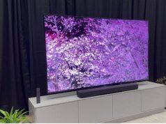 A tecnologia True RGB da Sony visa o melhor do OLED e Mini LED