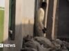 Homem nigeriano preso por armazenar fezes humanas fora de casa