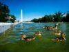 Rasgos aparecem no novo selante do Reflecting Pool depois que a proliferação de algas torna a água verde