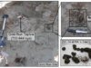 Cientistas retiraram DNA de 700 mil anos de cocô de esquilo congelado