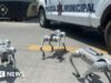 Robodogs e helicópteros: a abordagem de uma cidade mexicana à segurança da Copa do Mundo