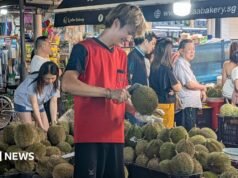 Por que durians de US$ 20 agora estão sendo vendidos pela metade do preço – ou doados de graça